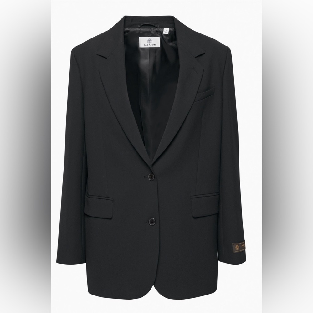 Aritzia Babaton New Agency Blazer